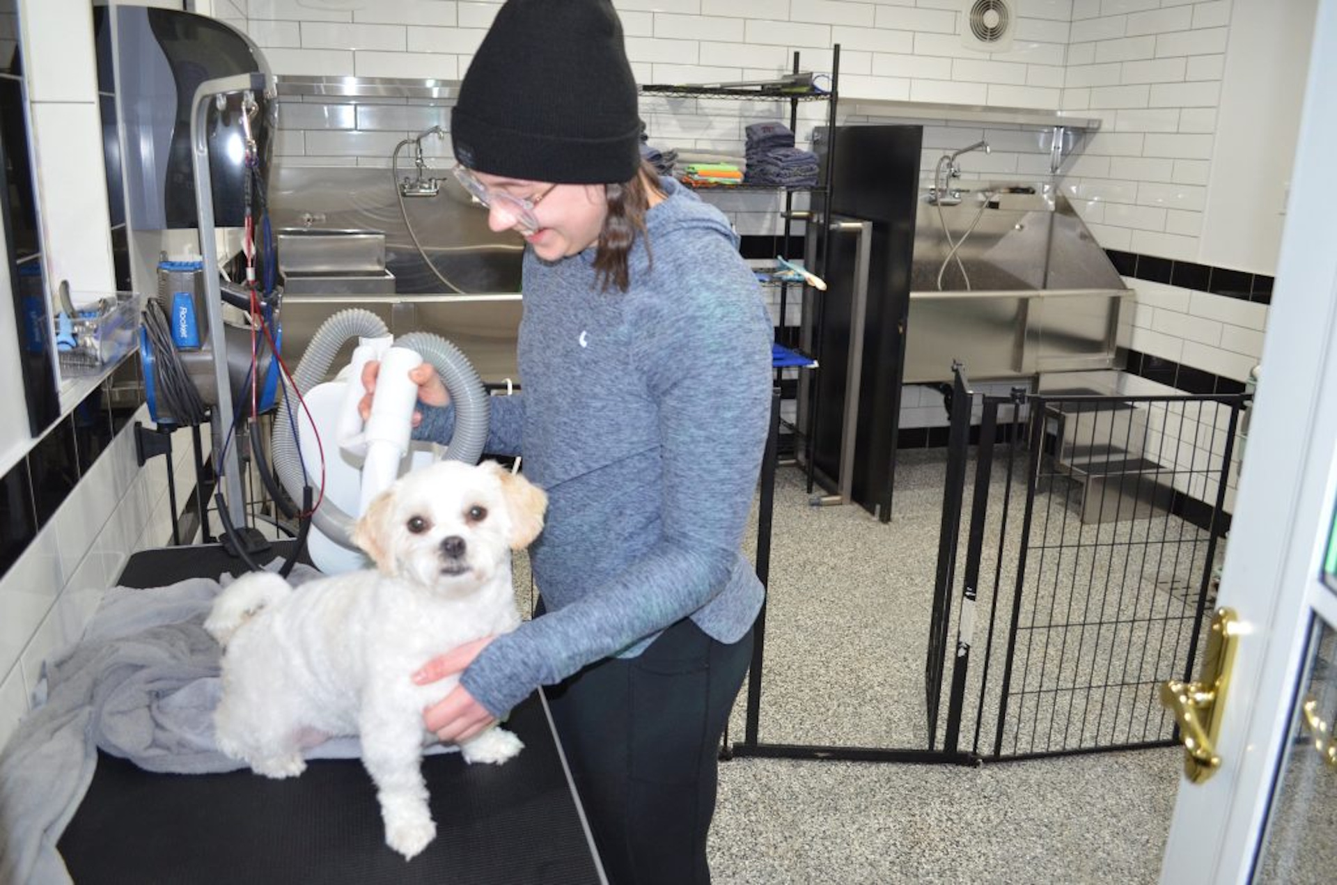 Self-serve Doggy U-Wash station at PTM Pet Supplies