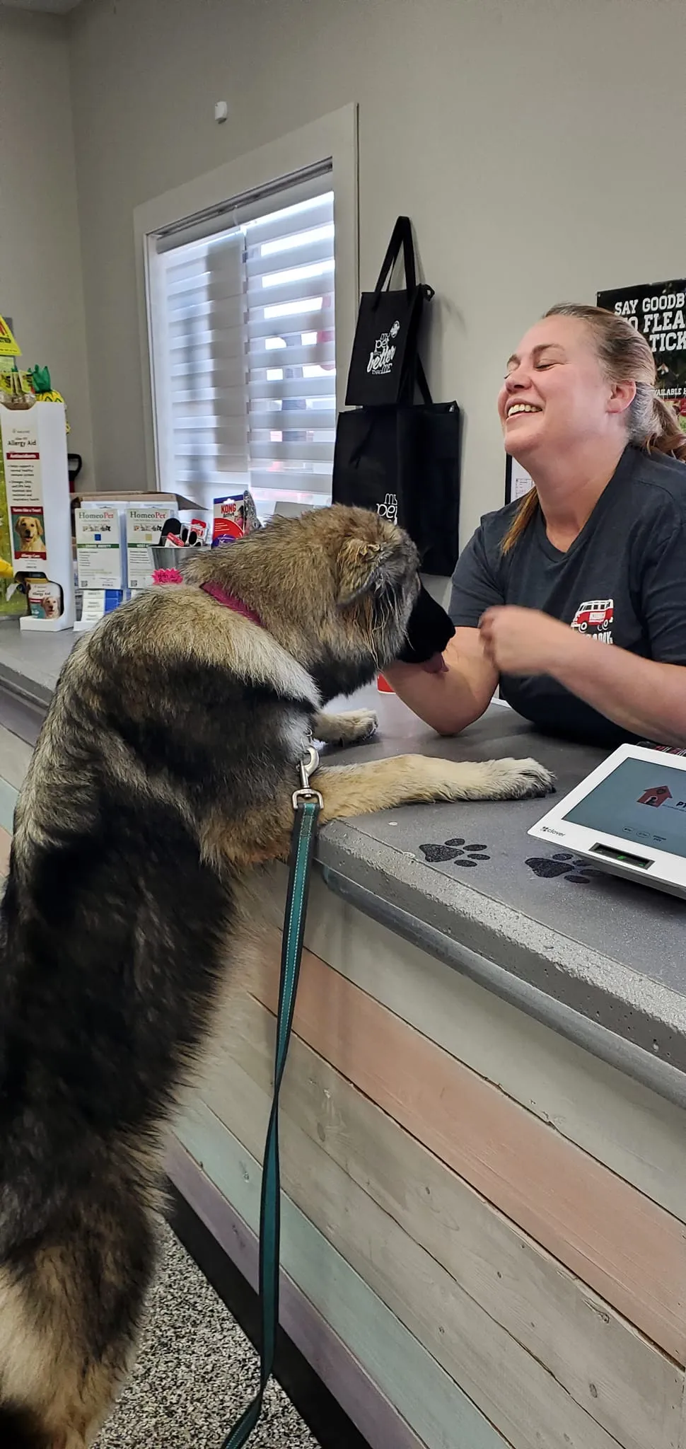Pet named Athena at PTM Pet Supplies