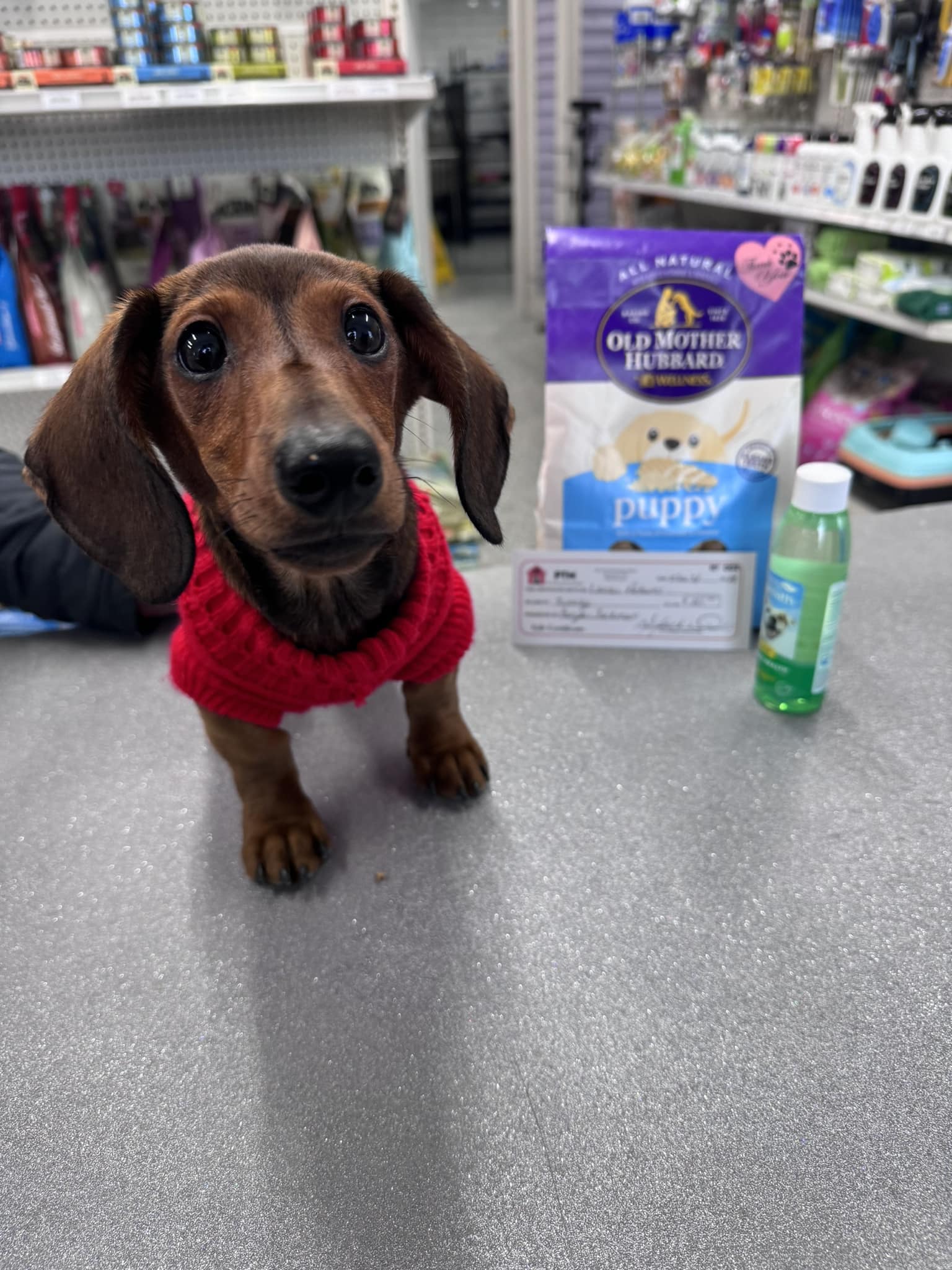 Pet named Old Mother at PTM Pet Supplies